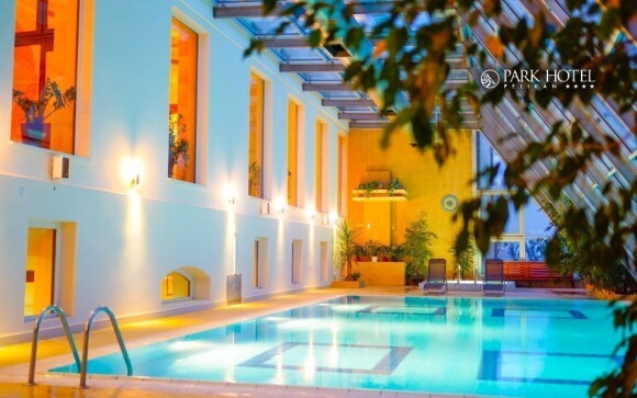Prostorné wellness centrum přímo v hotelu láká k relaxaci