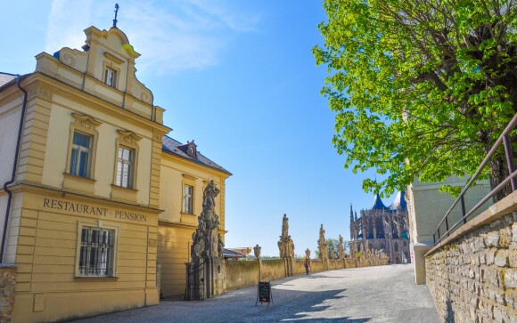 Pohled na hotel Vila U Varhanáře