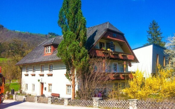 Apartmány Barazzutti jsou obklopené zelení