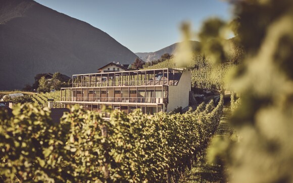 Szálloda a szőlőültetvények között, Haller Suites & AO Restaurant ****, Brixen, Olaszország