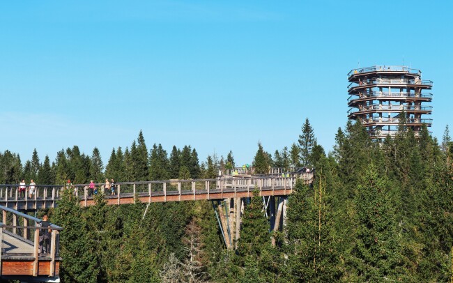 0% Belianské Tatry: 3–8 dennní pobyt pro DVA v…