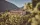 Hotel vo viniciach, Haller Suites & AO Restaurant ****, Brixen, Taliansko