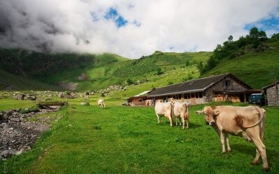 Alacsony-Tauern