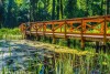 Környék, Bonvital Wellness & Gastro Hotel Hévíz ****, Magyarország