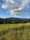 Okolí, Chata Olívia, Bučina, Oravská Lesná, Slovensko