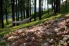 Okolí, Hotel Harnas ***, Bukowina Tatrzańska, polské Tatry