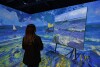 Výstava Vincent Van Gogh: Mezi klamem a zázrakem v Berlíně 