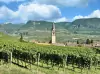 Tramin na Vínnej ceste, Taliansko