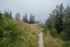 Erdőösvény, miaflor Familien- & Aktivresort ****, Ried im Oberinntal, Ausztria