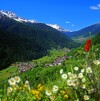 Horská krajina, Active Hotel Gran Zebru' ***, Cogolo di Peio (TN), Taliansko