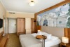 Hotelová izba, Aranyhomok Hotel Business & Relax ****, Kecskemét, Maďarsko