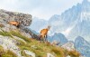 Vysoké Tatry, Slovensko