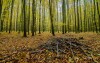 Křivoklátsko je krásná oblast