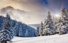 Užijte si zimní přírodu italských Alp