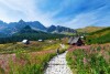 A Hotel Redyk Ski&Relax a lengyel Tátrában, festői környezetben várja a vendégeket.