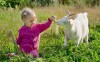 Děti si zamilují farmu se zvířátky