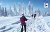 Bavorský les je ideálnou lokalitou na lyže aj bežky