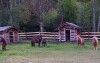 V ceně pobytu máte také návštěvu ponny ranče a minizoo 