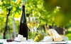 Užite si pobyt s vínom a lokálnymi špecialitami