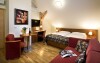 Luxusné izby v Hoteli Tvrz Orlice ****