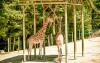Zámok a Zoo Lešná pri Zlíne