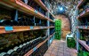 Nový Šaldorf-Sedlešovice jsou významnou vinařskou oblastí