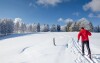 K pobytu na Vysočine patrí aj bežkovanie a lyžovanie