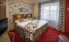 Komfortná izba, Penzión Zubr, Vysočina