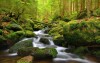 Národný park Šumava a okolie