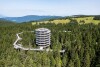 Pohorje treetop trail