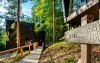Exteriér, Hotel Fischerwirt Natur.WaldSPA ****, Faistenau, Rakousko