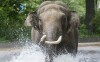 Zoo Berlin, Berlín, Nemecko