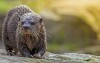 Zoo Berlin, Berlín, Nemecko