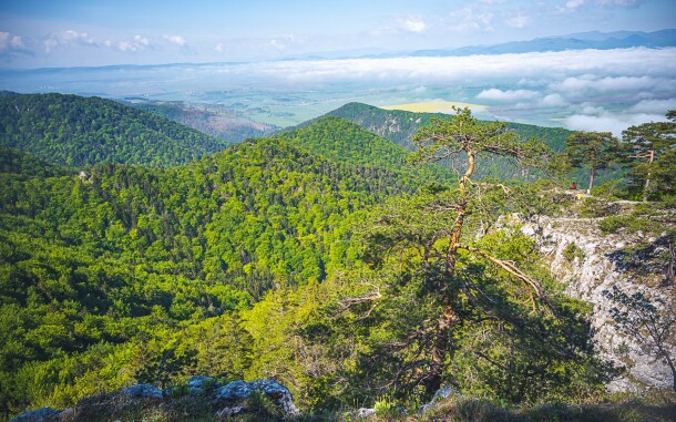 Veľká Fatra, Slovensko