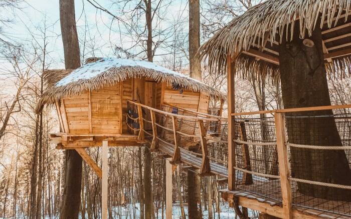 Treehouse Dom na strome