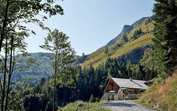 Mooslehenalm by Grossarler Hof