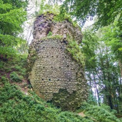 Zřícenina hradu Kynžvart
