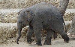 ZOO Krakov