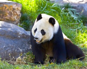 Zoo a akvárium Berlín