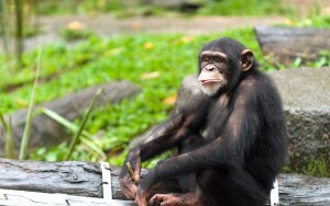 ZOO a botanická záhrada v Kolíne