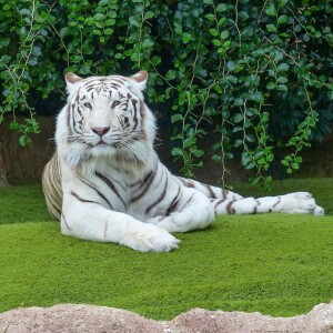 Zoo Liberec