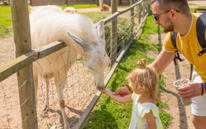 Zoo & Aquarium v Pécsi