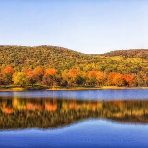 Velký knížecí rybník