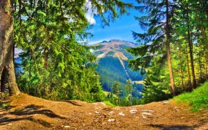 Nízké Tatry