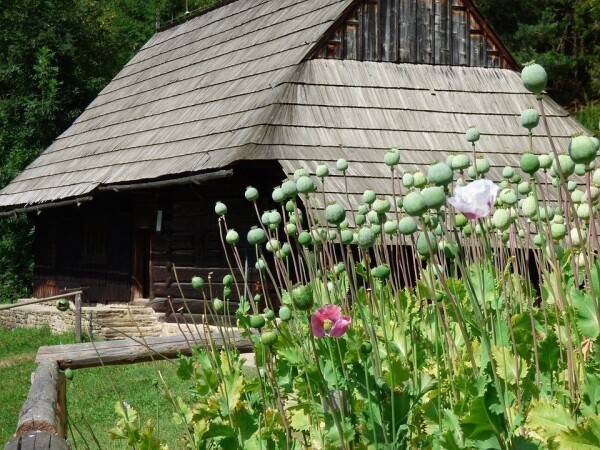 Muzeum oravské dědiny Zuberec - Brestová