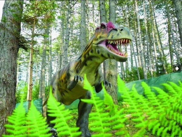 Dino a lanový park Terchová