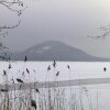 Máchovo jezero