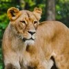 Zoologická i botanická záhrada