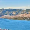 Sveti Vid