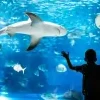 Oceanárium Kołobrzeg